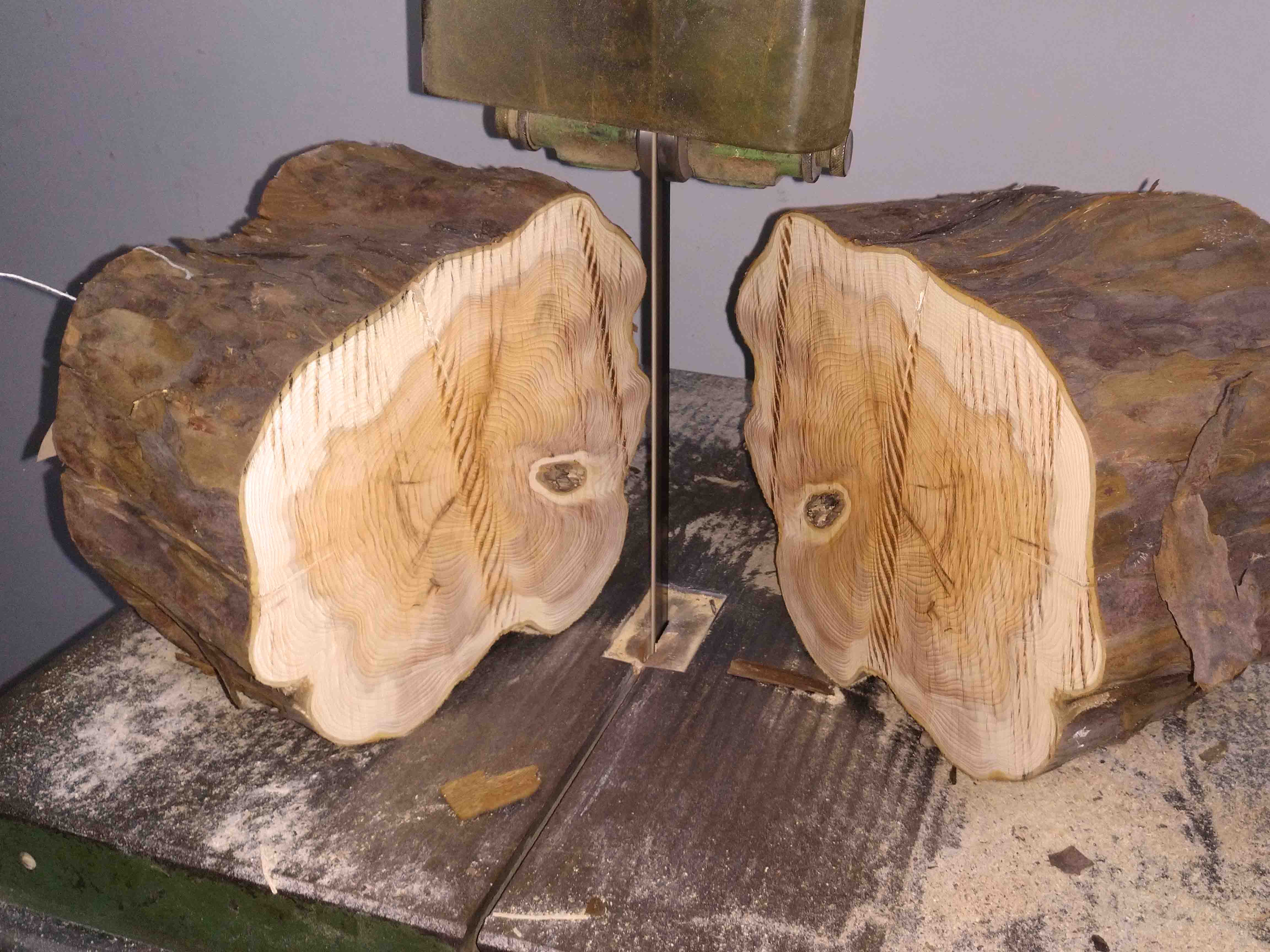 IMG 20210510 173320 getrennt