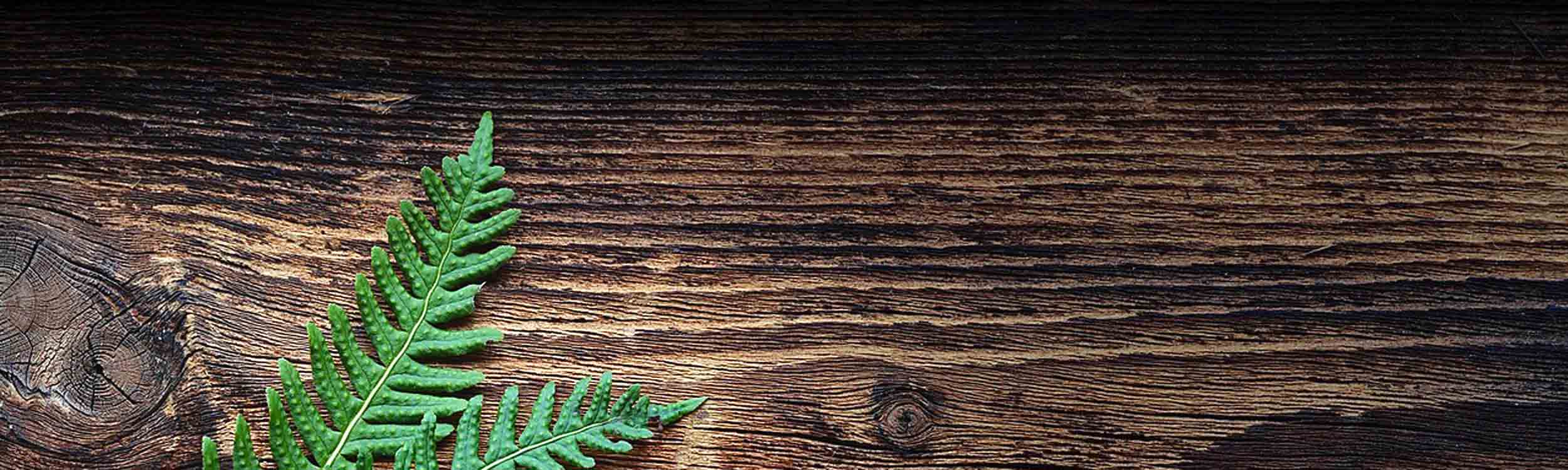 ...die andere ART zu schreiben